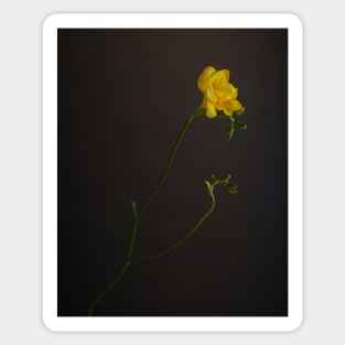 Yellow Flower Sticker